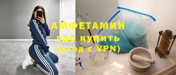 сатива Каменногорск