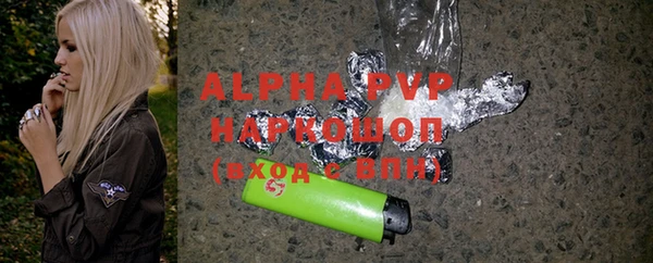 сатива Каменногорск