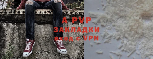 сатива Каменногорск