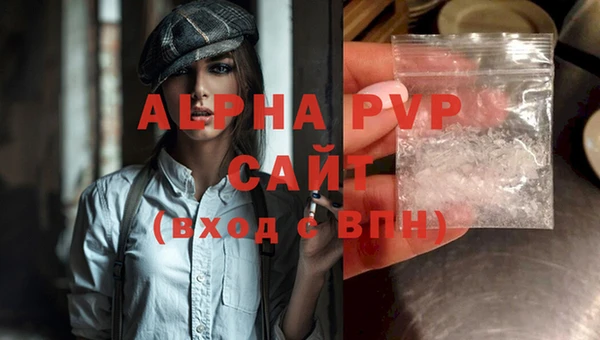 сатива Каменногорск